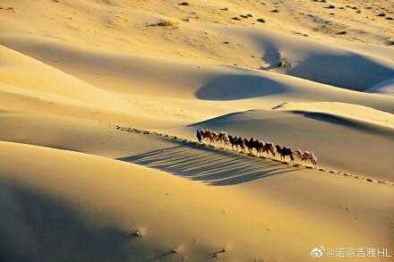 内蒙古自治区阿拉善地区巴丹吉林沙漠旅游景点_701485