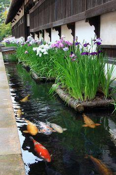 #(大学喷泉)#(跌水景观)#(跌水景墙)#(跌水设计)#(跌水小品)#(流水景观墙)#(流水水幕)#(喷泉)#(喷泉景观)#(水)#(水景)#(水景墙)#(水景墙设计)#(水幕)#(水幕景观墙)#(水幕墙)#(水生植物种植)#(水生植物种植池)#(庭院景观)#(庭院水景)#(小喷泉)#(校园喷泉)#(鱼池)#(跌水)#(跌水水池)#(广场水景)#(流水景墙)#(落水)#(水景墙案例)#(水景设计)#(庭院流水景墙)#(现代流水景观墙)#(小品水景)#(小水景)#(小水面)#(学校喷泉)#(养鱼池)#(种植池)