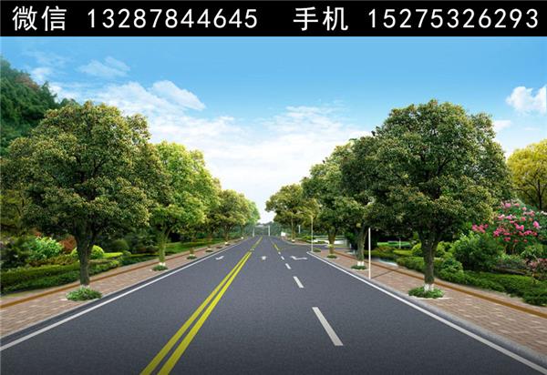 2道路绿化景观设计案例效果图_3835204