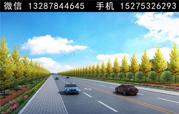 2道路绿化景观设计案例效果图_3835207
