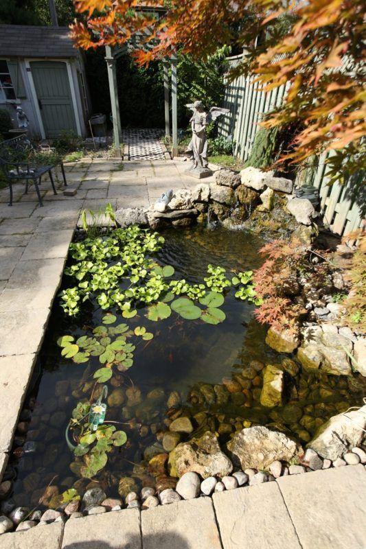 水生植物种植池#(水槽)#(水生植物)#(水生植物种植池)#(种植槽)#(种植池)