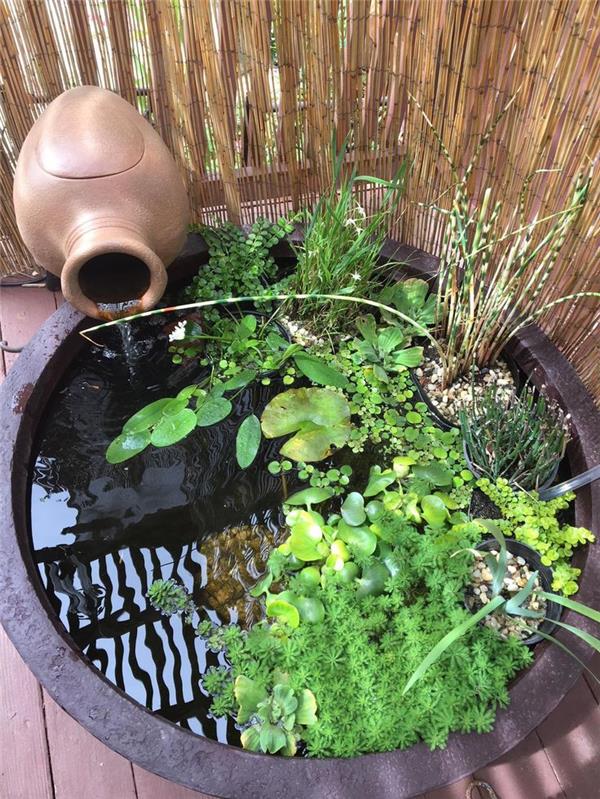 [合集]水生植物种植池#(标示牌)#(导视牌)#(独栋别墅门头效果图)#(公园装置)#(观景台)#(国外公园景观标识方案)#(景观构筑)#(景观小品设计)#(景观小品设计精品)#(景墙)#(居住区景观雕塑)#(空间交互体验)#(廊架会客)#(廊架结构)#(廊架景观)#(门)#(曲线景观)#(人雕塑)#(生命雕塑)#(生命主题)#(室外文化墙)#(眺望台)#(铁艺)#(铁艺大门)#(铁艺门)#(庭院大门设计实景图)#(小品雕塑)#(新中式景观墙)#(宣传栏)#(影墙)#(优秀设计景观小品)#(照壁)#(主题墙)#(住宅入口)#( 雕塑装置)#(矮景观墙)#(矮景墙)#(标识牌)#(地面彩绘)#(雕塑意向图)#(对景景墙)#(户外文化墙)#(景观雕塑)#(景观廊架)#(景观桥设计)#(景观小品优秀案例)#(居住区雕塑)#(廊架)#(门装置)#(人小品)#(入口景墙)#(色彩感强的景观雕塑)#(庭院背景墙)#(庭院大门设计图片)#(庭院大门设计效果图)#(庭院景墙)#(庭院门设计案例)#(现代景观小品案例分析)#(小品景观设计例子)#(宣传架)#(艺术对景)#(院子门设计效果图)#(遮阳棚)#(指示牌)#(指引)#(指引牌)