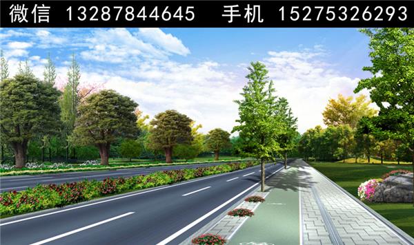 2道路绿化景观设计案例效果图_3835199