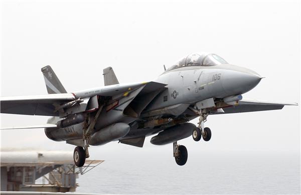 F14战斗机#(f14)#(军队)#(熊猫)#(战斗机)#(飞机)#(舰载机)#(军事)#(空军)