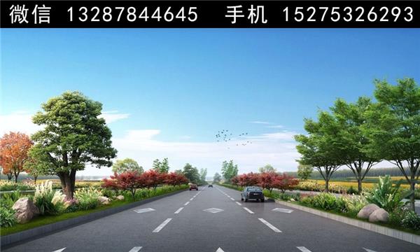 2道路绿化景观设计案例效果图_3835209
