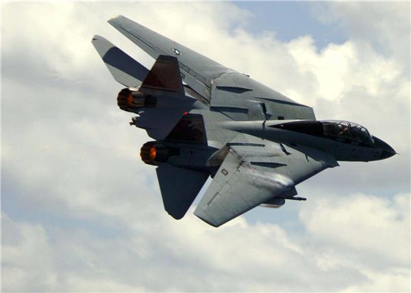 F14战斗机#(f14)#(军队)#(熊猫)#(战斗机)#(飞机)#(舰载机)#(军事)#(空军)