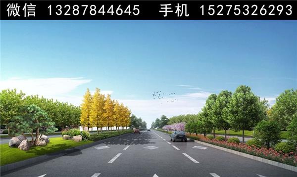 2道路绿化景观设计案例效果图_3835208