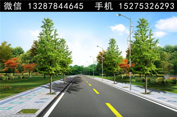 2道路绿化景观设计案例效果图_3835196