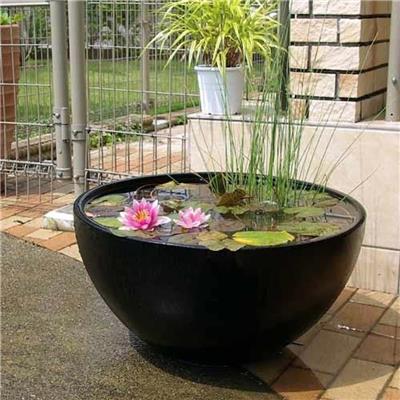水生植物水槽