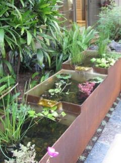 水生植物水槽
