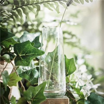 透明玻璃花瓶  ￥ 6.90