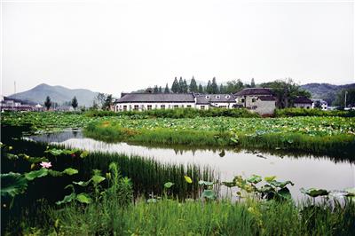 平桥区郝堂村 / 东方农道建筑规划设计有限公司