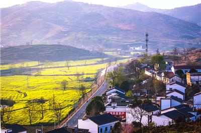 大悟县金岭村 / 东方农道建筑规划设计有限公司