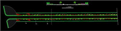 道路绿化、植物配置、绿化断面、dwg