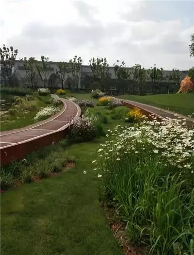 虹口区虹湾绿地建设