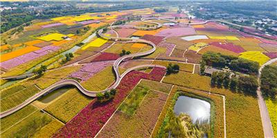 宿迁三台山森林公园
