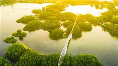 南昌鱼尾洲湿地公园