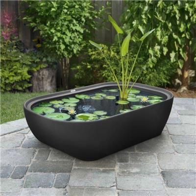 水生植物水槽