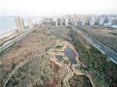 山东烟台海滨金沙滩