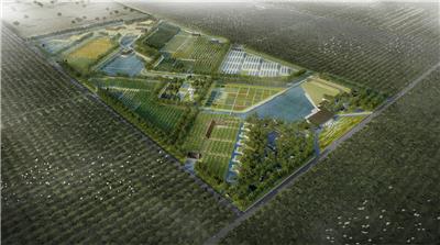 越南建造“生态旅游小镇”，将废弃橡胶园变有机农场