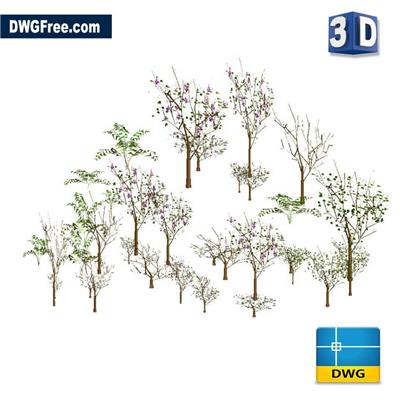 3D树dwg素材