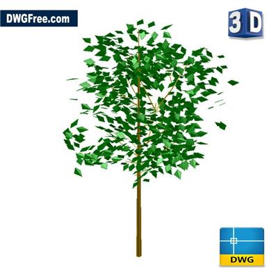 3D树dwg素材2