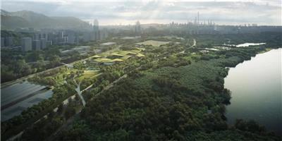 深圳红树林湿地生态博物馆概念设计方案