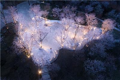 日照白鹭湾“无界剧场”#(CCDI悉地国际)#(CloudsArchitectureOffice)#(goa大象设计)#(HenningLarsen)#(MAD)#(PaulAndreuArchitecte)#(RONALDLUPARTNERS)#(Snohetta)#(StevenChiltonArchitects)#(THAD清华建筑设计院)#(ToyoIto)#(tvsdesign)#(安藤忠雄)#(北京日清建筑设计有限公司)#(表演艺术中心)#(滨水剧场)#(城市广场设计)#(崔愷)#(大戏院)#(多功能厅)#(仿生空间)#(概念剧场)#(歌剧院)#(公共场所)#(公共建筑设计案例)#(户外剧场)#(景观装置设计)#(竞赛方案)#(酒吧)#(旧建改造)#(剧院)#(剧院设计)#(咖啡厅)#(老旧建筑改造)#(老旧建筑更新)#(礼堂)#(礼堂设计)#(临水建筑)#(临水剧场)#(露天舞台)#(铝合金幕墙)#(铝金属外立面建筑设计)#(铝金属外墙建筑设计案例)#(模块化建筑)#(模块化音乐厅)#(日清设计)#(山地建筑设计)#(商业建筑设计)#(商业综合体建筑设计)#(上海杜兹建筑设计有限公司DUTStudio)#(市民公园)#(太湖)#(同济大学建筑设计研究院集团有限公司)#(同济设计集团)#(图书馆8000平方米)#(图书馆案例)#(图书馆平面)#(图书馆平面设计)#(图书馆室内设计)#(文化建筑)#(文化建筑设计案例)#(文化建筑效果图)#(文艺)#(无锡)#(现代图书馆立面)#(新疆建筑)#(休闲娱乐)#(演播建筑设计)#(艺术建筑设计)#(艺术空间)#(异形建筑)#(音乐厅)#(影剧院)#(芝作室LUKSTUDIO)#(中国国家大剧院)#(中国建筑西北设计研究院有限公司)#(重庆博蓝建筑设计有限公司)#(BIAD)#(DnA_DesignandArchitecture)#(OPEN建筑事务所)#(ReveryArchitecture)#(RLP)#(UNStudio)#(北京市建筑设计研究院有限公司)#(本土设计研究中心)#(餐厅)#(餐饮建筑设计)#(城市更新)#(城市名片)#(大剧院)#(大剧院建筑设计案例)#(覆土建筑设计)#(公共建筑)#(公共建筑竞赛方案)#(公共建筑设计)#(公园景观设计)#(观演类建筑)#(观影类建筑)#(广东)#(航海级铝管)#(禾下建筑社)#(户外演出台)#(花瓣形)#(花瓣形建筑)#(建筑综合体)#(景观小品)#(剧场)#(剧场建筑设计案例)#(剧场空间)#(剧场设计概念)#(剧场效果图)#(剧院建筑设计)#(剧院建筑设计案例)#(老旧建筑改造更新)#(乐土设计)#(露天剧场)#(露天剧场设计)#(曲线)#(上海天华建筑设计有限公司)#(深圳市建筑设计研究总院有限公司)#(诗之礼堂)#(室内设计)#(室外)#(室外剧场)#(室外看台)#(室外演出)#(室外影院)#(同济设计TJAD)#(图书馆)#(图书馆案例分析)#(图书馆大厅)#(图书馆建筑)#(图书馆平面图)#(图书馆设计)#(文化公园设计)#(文化建筑设计)#(文化设施)#(文化艺术中心)#(文旅项目)#(舞台)#(小剧场)#(效果图)#(虚实)#(演播建筑设计案例)#(杨丽萍)#(艺术)#(艺术中心)#(艺术装置设计)#(音乐厅平面)#(音乐厅剖面)#(浙江大学建筑设计研究院)#(朱小地工作室)#(竹)#(筑境设计)