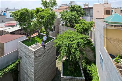 House for Trees 住宅
