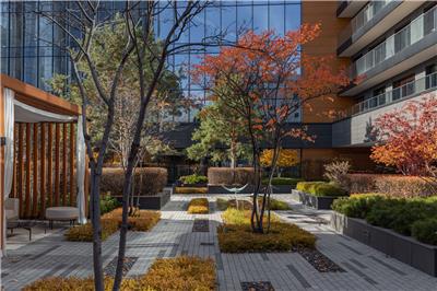 Kandinsky住宅庭院及屋顶花园 / Greenhance