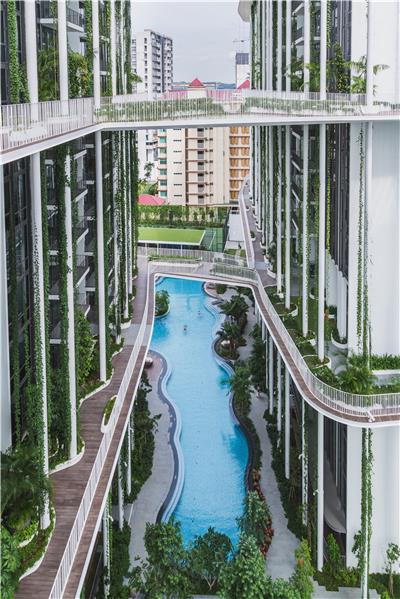 新加坡香灰莉雨林住宅景观设计 / Tierra Design (S) Pte Ltd