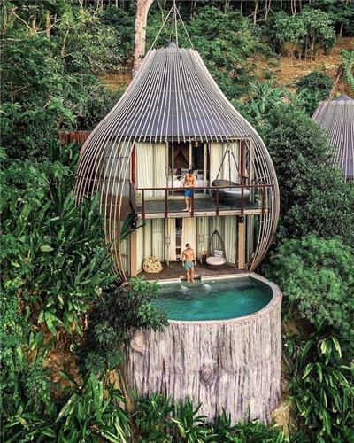 森林酒店的绝佳设计-泰国普吉府