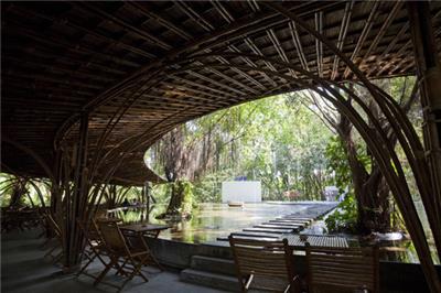 wNw Cafe/VTN Architects