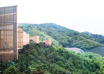 Boomtop woningen Garden Valley
