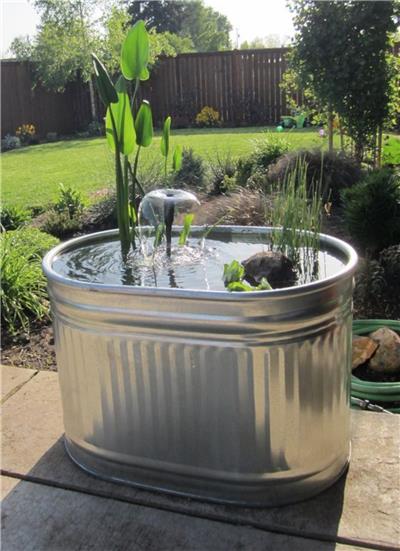 水生植物水槽