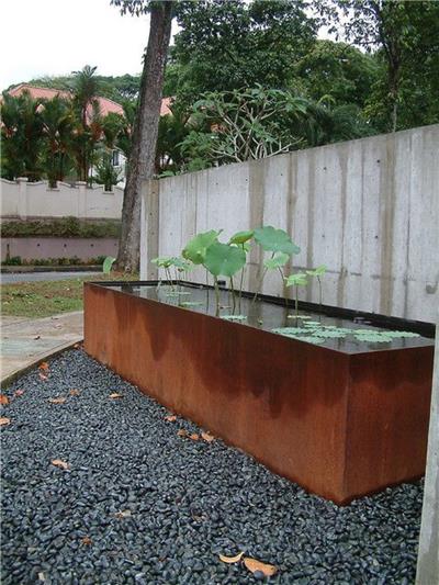 水生植物水槽