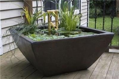 水生植物水槽