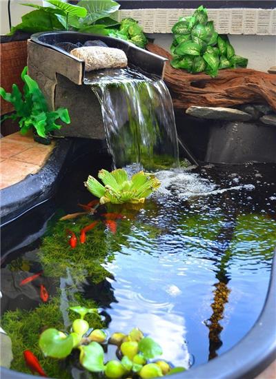 水生植物种植池