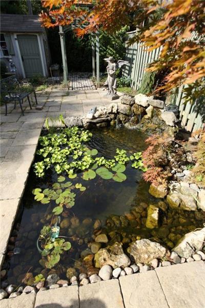 水生植物种植池