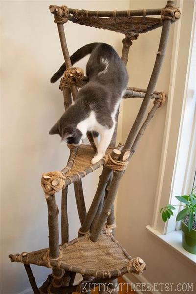 猫爬架子