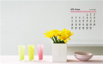 简约清新花卉图片2017年6月桌面日历壁纸